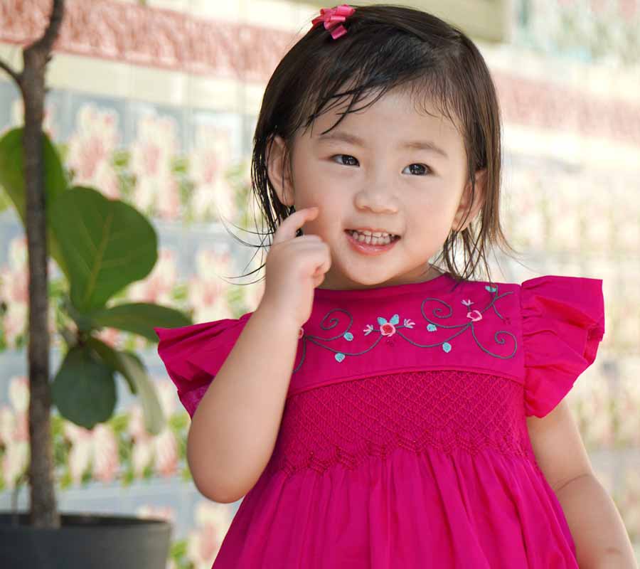 Little Sally Smocked Dress